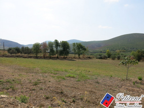 TERRENO AGRICOLO