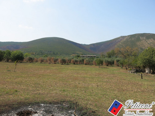 TERRENO AGRICOLO