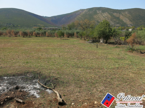 TERRENO AGRICOLO