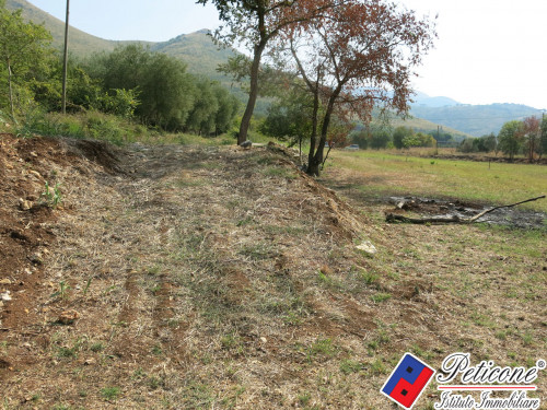 TERRENO AGRICOLO