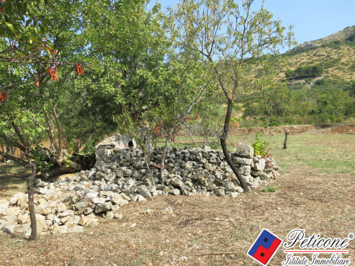 TERRENO AGRICOLO