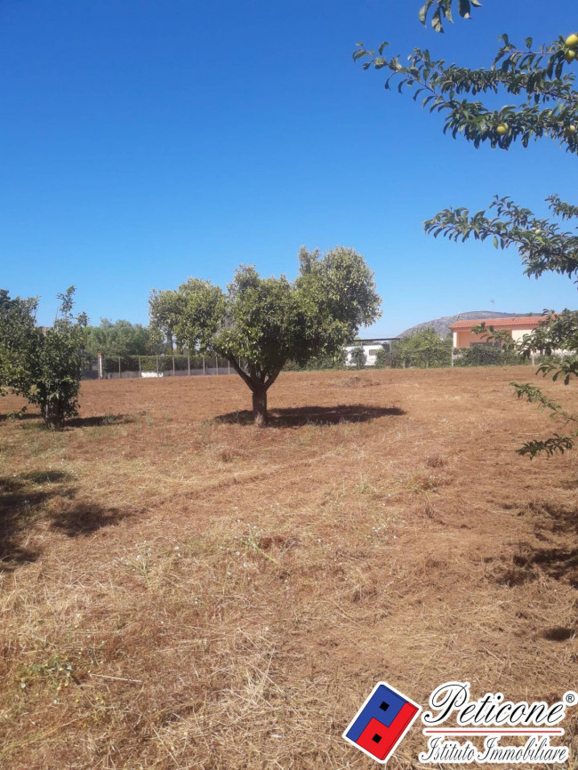 TERRENO AGRICOLO con FABBRICATO SOVRASTANTE