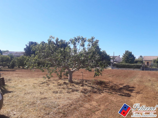 TERRENO AGRICOLO con FABBRICATO SOVRASTANTE