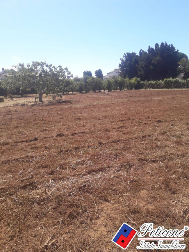 TERRENO AGRICOLO con FABBRICATO SOVRASTANTE