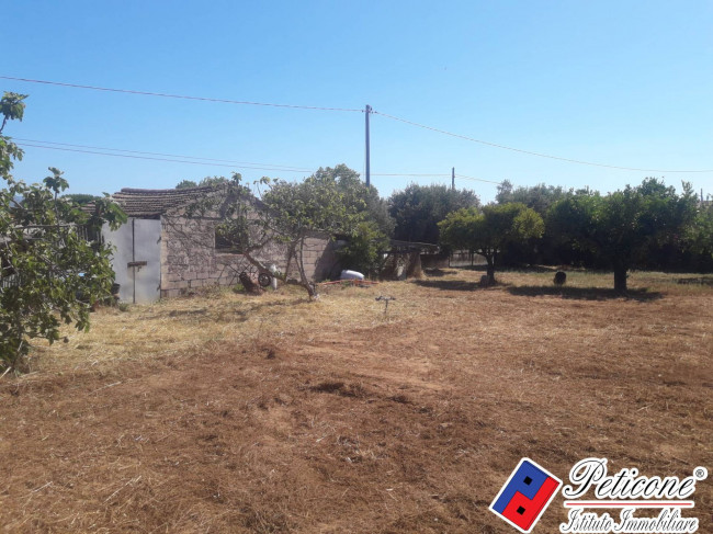 TERRENO AGRICOLO con FABBRICATO SOVRASTANTE