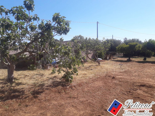 TERRENO AGRICOLO con FABBRICATO SOVRASTANTE