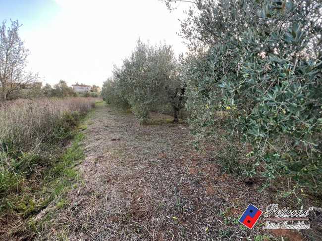 Terreno agricolo in vendita a Fondi (LT)