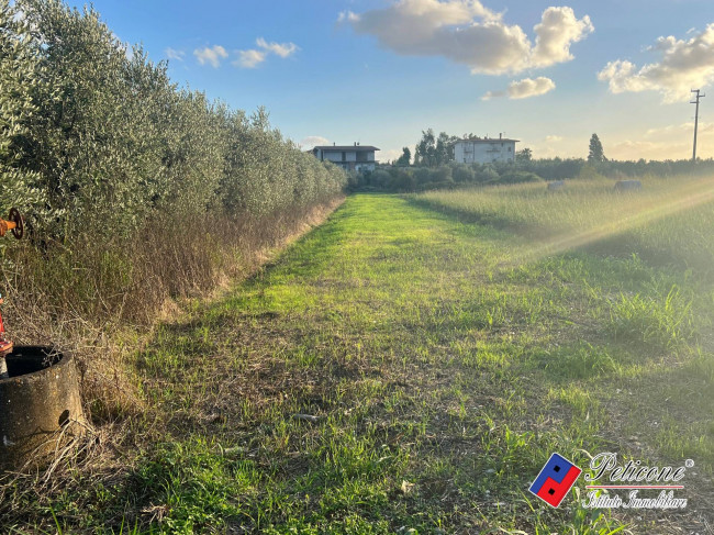 Terreno agricolo in vendita a Fondi (LT)