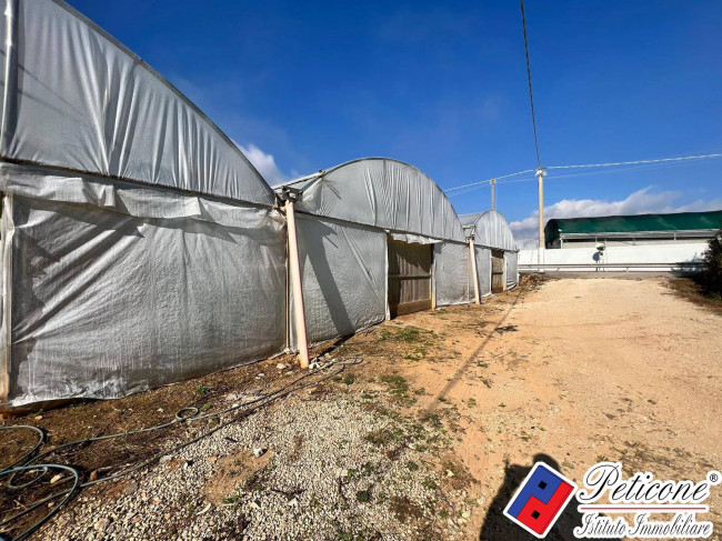 AZIENDA AGRICOLA AVVIATA con SERRE in LEGNO e in FERRO