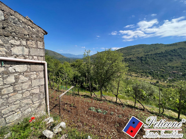 CASOLARE DA RISTRUTTURARE, CON VIGNA E TERRENO