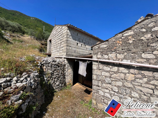 CASOLARE DA RISTRUTTURARE, CON VIGNA E TERRENO