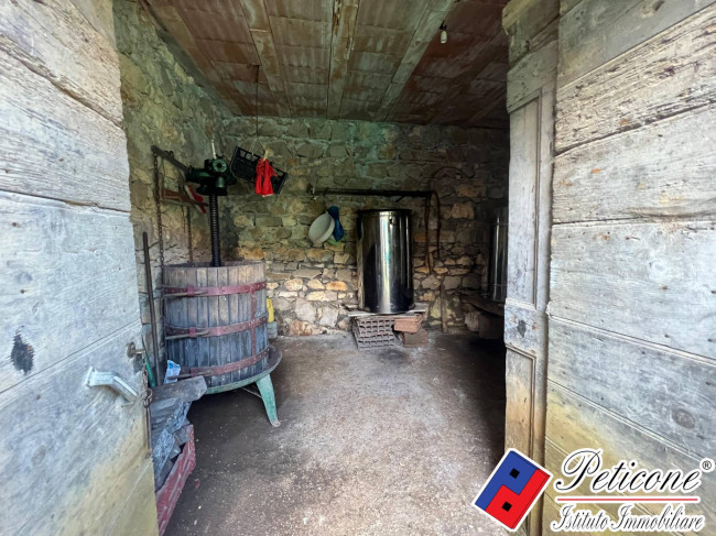 CASOLARE DA RISTRUTTURARE, CON VIGNA E TERRENO