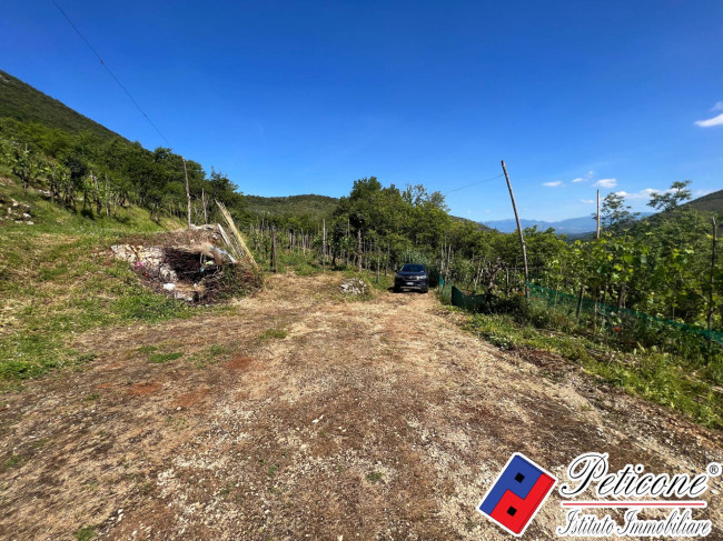 CASOLARE DA RISTRUTTURARE, CON VIGNA E TERRENO
