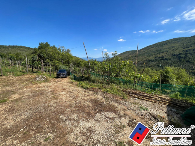 CASOLARE DA RISTRUTTURARE, CON VIGNA E TERRENO