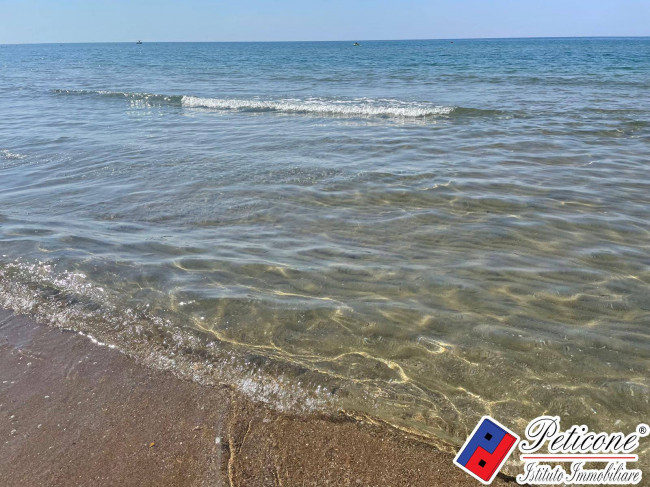 APPARTAMENTO IDEALE COME INVESTIMENTO