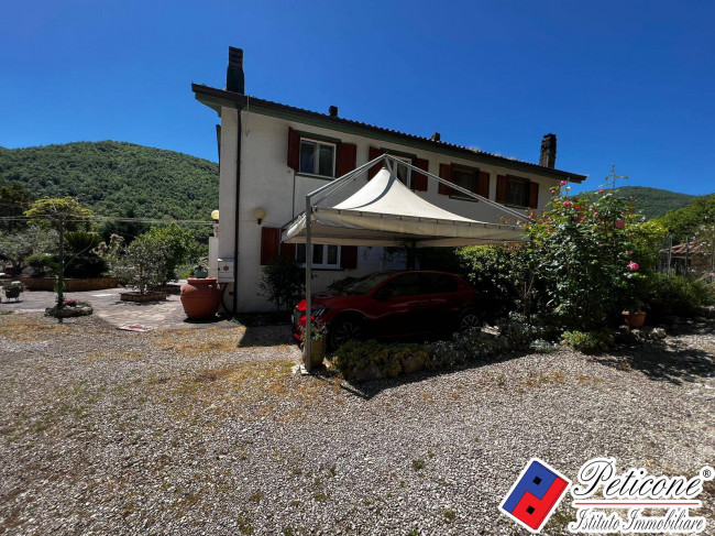 VILLA UNICA IMMERSA NEL VERDE