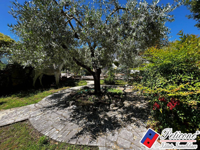 VILLA UNICA IMMERSA NEL VERDE