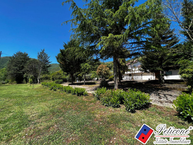 VILLA UNICA IMMERSA NEL VERDE