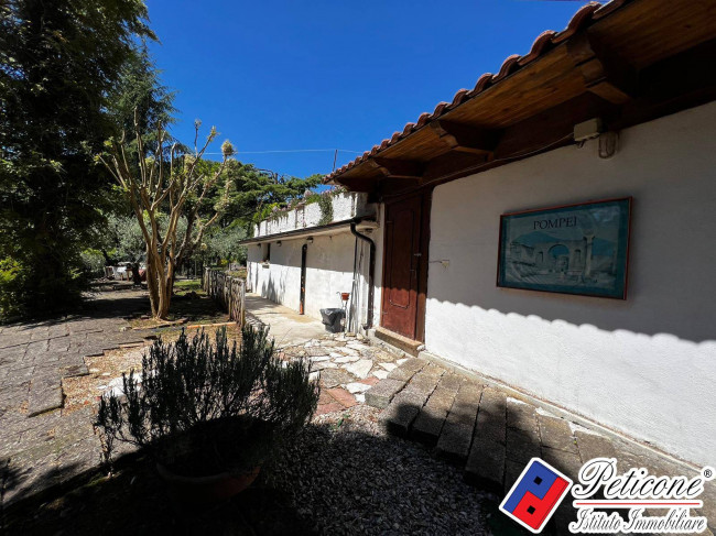 VILLA UNICA IMMERSA NEL VERDE
