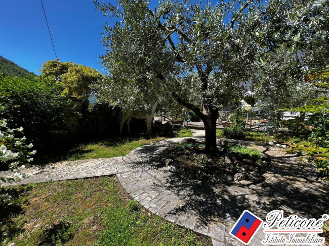 VILLA UNICA IMMERSA NEL VERDE