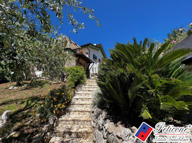 VILLA UNICA IMMERSA NEL VERDE