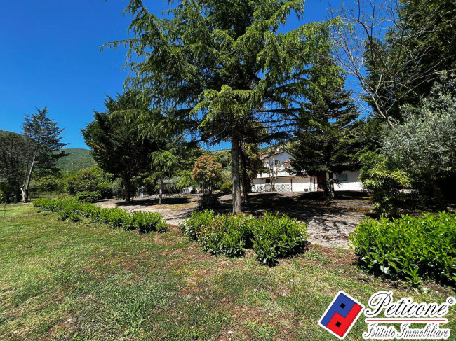 VILLA UNICA IMMERSA NEL VERDE