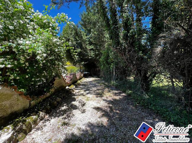 VILLA UNICA IMMERSA NEL VERDE