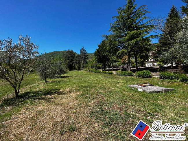 VILLA UNICA IMMERSA NEL VERDE