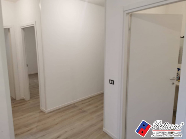 Appartamento Ristrutturato con Corte Comune
