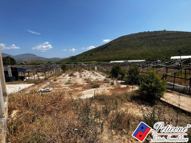 TERRENO con VILLA e PERMESSO approvato per COSTRUIRE SERRE