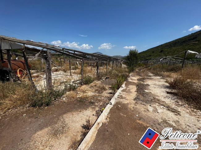 TERRENO con VILLA e PERMESSO approvato per COSTRUIRE SERRE