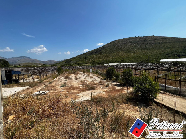 TERRENO con VILLA e PERMESSO approvato per COSTRUIRE SERRE