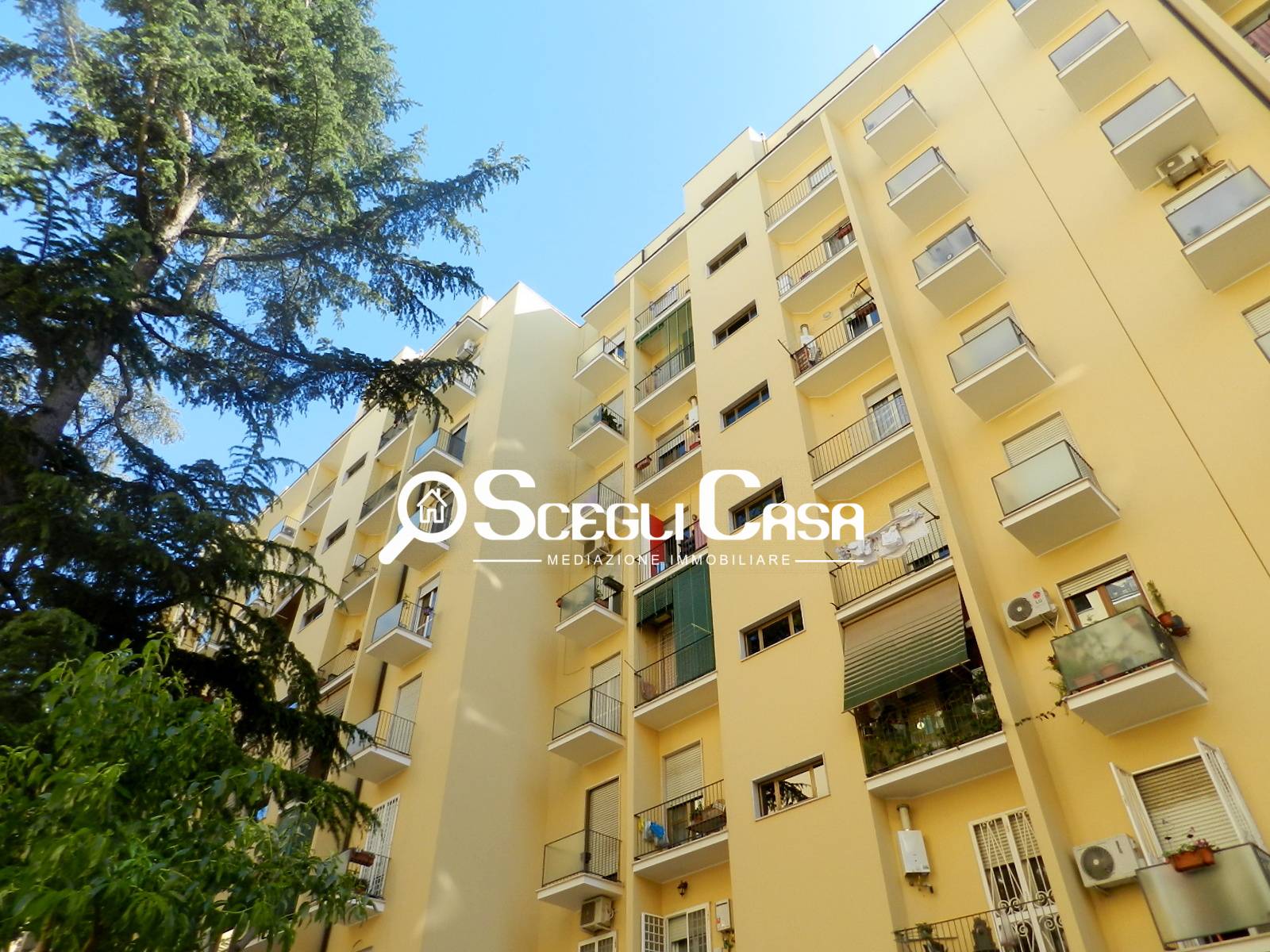  roma vendita quart: tuscolano quadraro immobiliare srl
