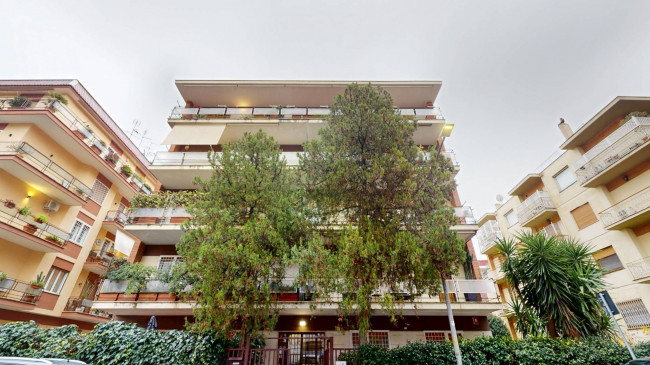 Appartamento in affitto