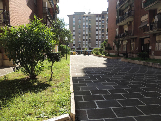 Stanza in affitto