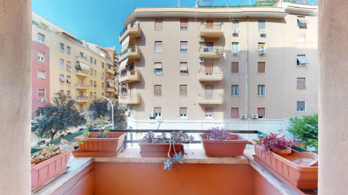 Appartamento in affitto