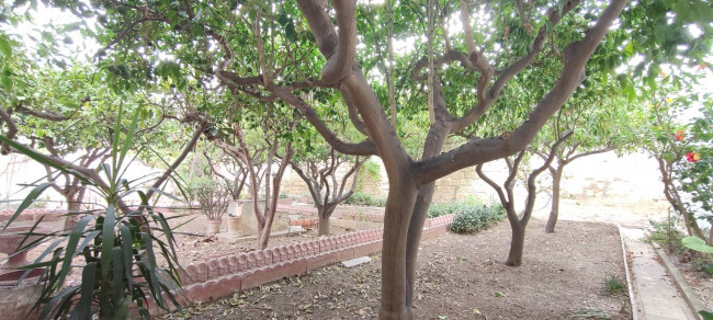 Casa singola in vendita