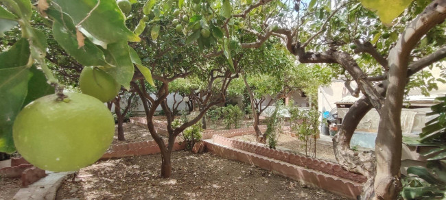 Casa singola in vendita