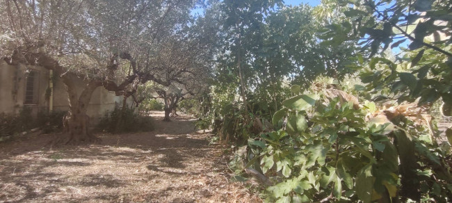 Casa singola in vendita