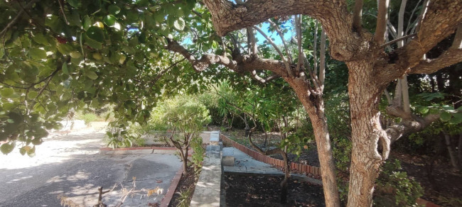 Casa singola in vendita