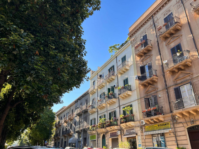 Trilocale in affitto