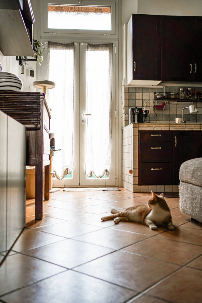 Appartamento in vendita