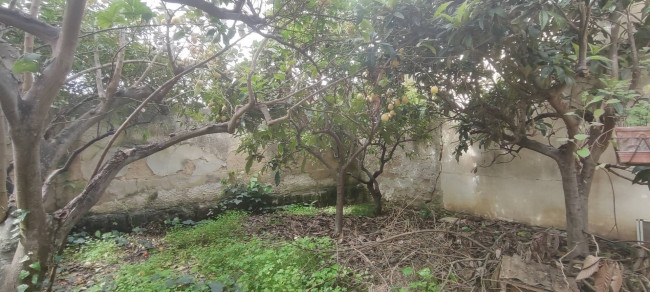 Casa singola in vendita