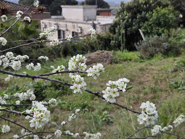 Trilocale in vendita