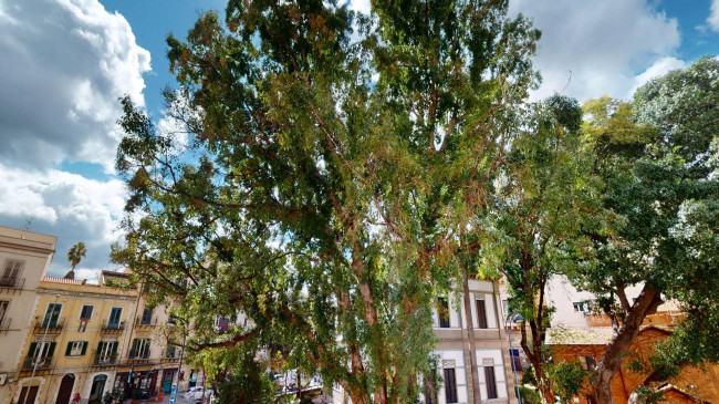 Appartamento in affitto