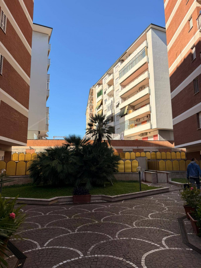 Appartamento in affitto
