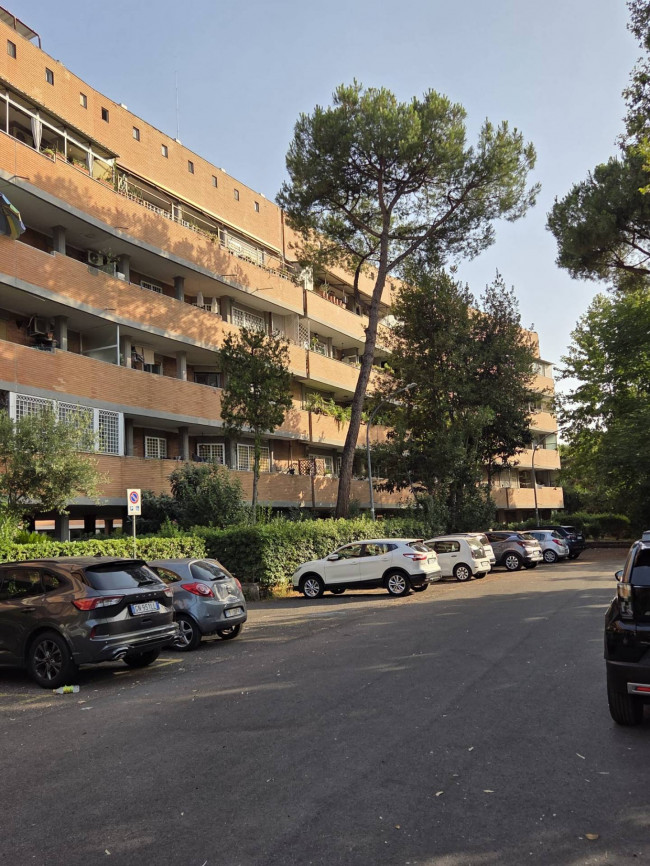Pentalocale in vendita
