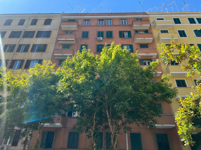 Appartamento in affitto