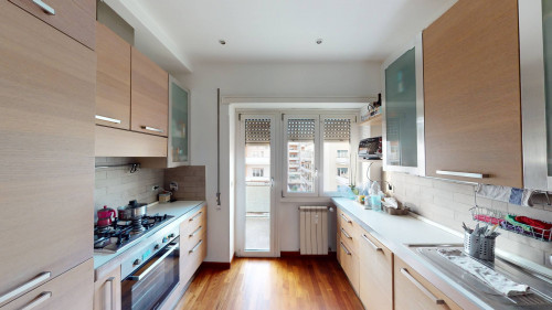 Appartamento in affitto