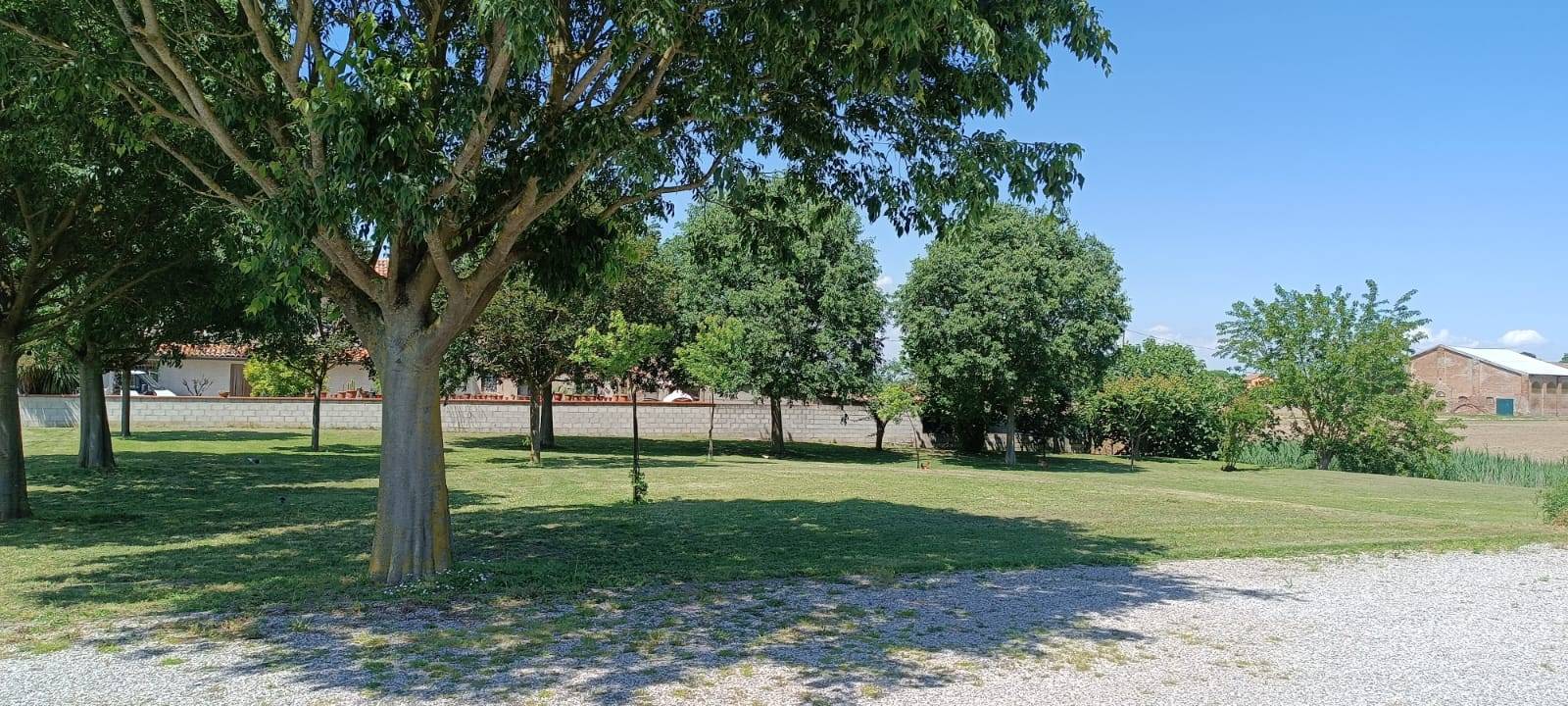 Casa indipendente in vendita a Argenta (FE)